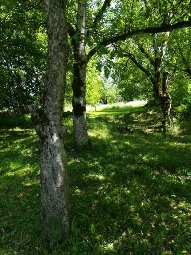 Паки: Svaneti. Place in nature for rest