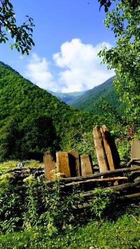 Паки: Svaneti. Place in nature for rest