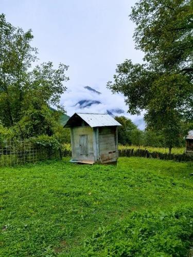 Паки: Svaneti. Place in nature for rest