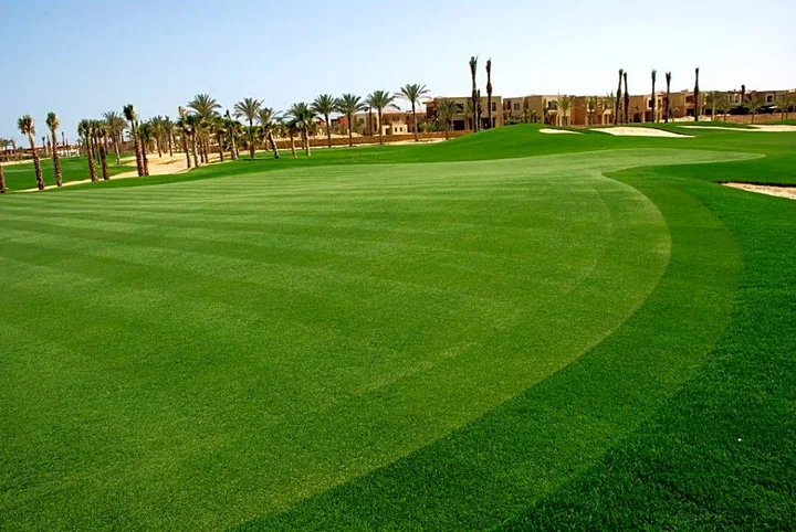Айн-Сохна: Jaz Little Venice Golf Resort.