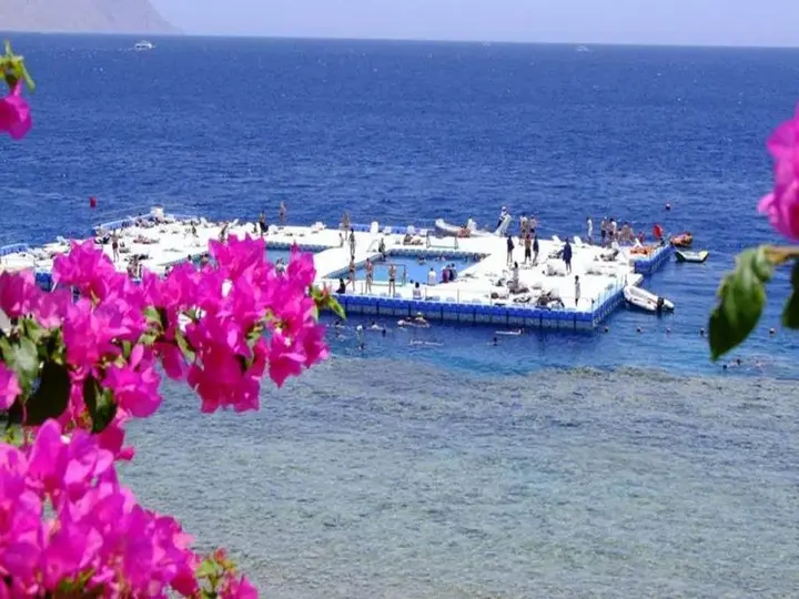 Шарм-эш-Шейх (Шарм-эль-Шейх): Coral Bay Prestige Apartment