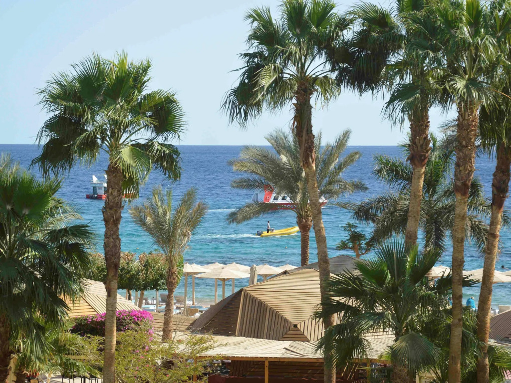Шарм-эш-Шейх (Шарм-эль-Шейх): Novotel Sharm el Sheikh Palm