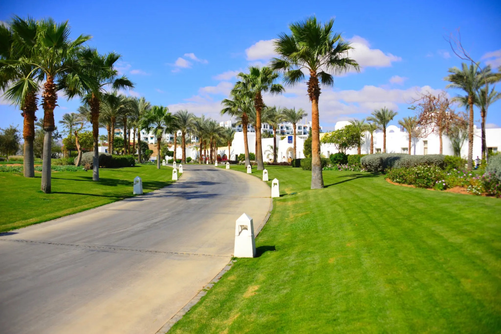 Шарм-эш-Шейх (Шарм-эль-Шейх): Novotel Sharm el Sheikh Palm
