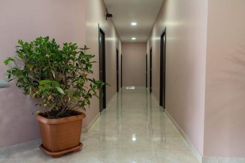 Гори: New Hotel Lucky