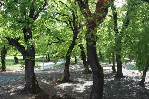 Гурджаани: Marine Bebo Bed and Breakfast