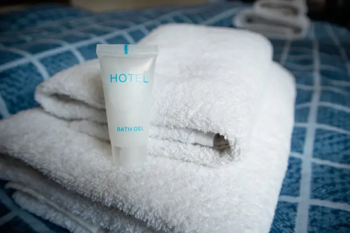 Тбилиси: Апарт-отель Hotel Salosi