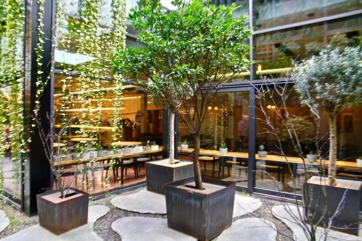 Тбилиси: Hotel Iota Tbilisi Mimino