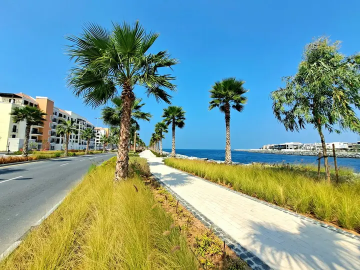 Дубай: Апартаменты PalmBay 4 BR La Mer Sea View