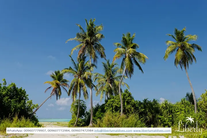 Атолл Алиф-Алиф: Гостевой Дом Liberty Himandhoo