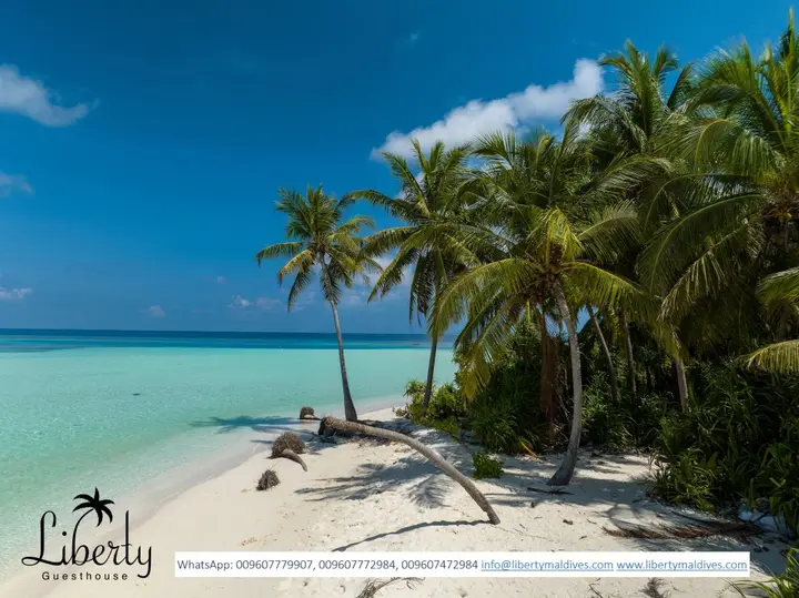 Атолл Алиф-Алиф: Гостевой Дом Liberty Himandhoo