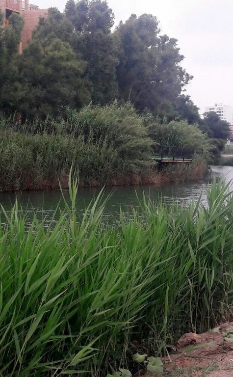 Аксу: Riverside Flat Close to Beach