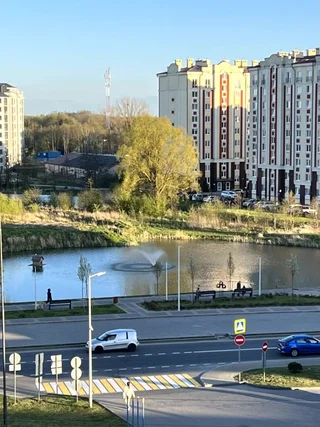Зеленоградск: Апартаменты Лисичка и Море