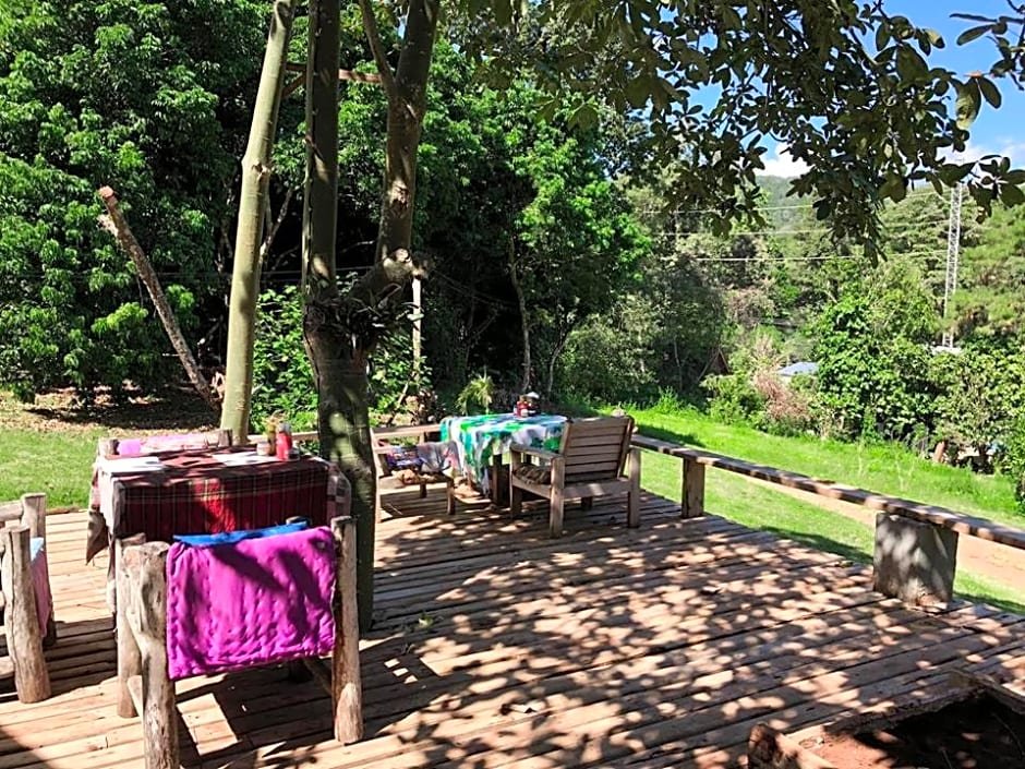 Jungle guest house — фото 5