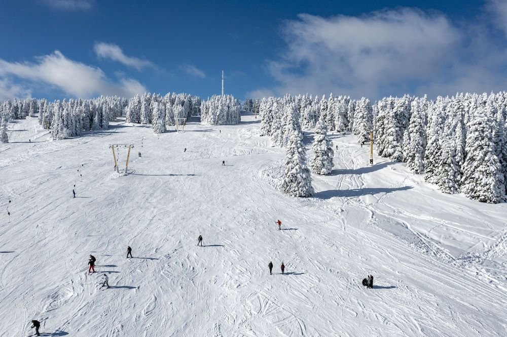 Бурса: Erta Soyak Otel Uludag