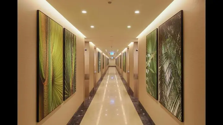 Дубай: Luxurious Stay With Spectacular View of the Palm Jumeirah