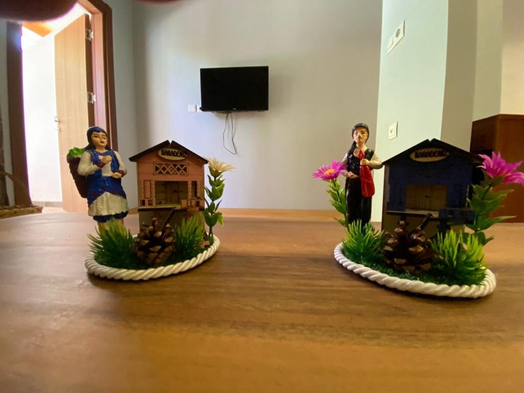 Кошандере: Sumela Holiday Hotel