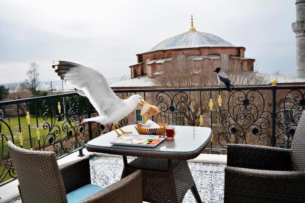 Стамбул: Little Sofia Hotel