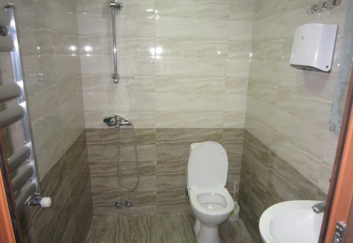 Бакурианский Андезит: Hotel Laguna