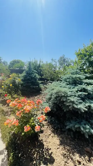 Керчь: Гостевой дом Климанова