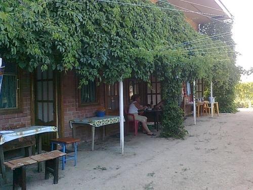Должанская: Hostel Laguna