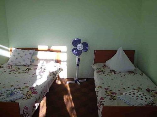 Должанская: Hostel Laguna