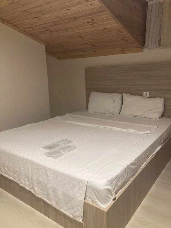 Сайл: Agva Rex Otel