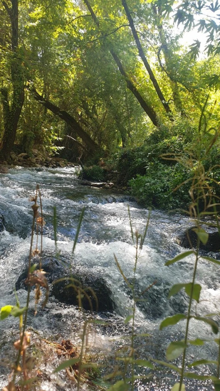 Эрменек: Zeyve Lavanta Tatil Köyü