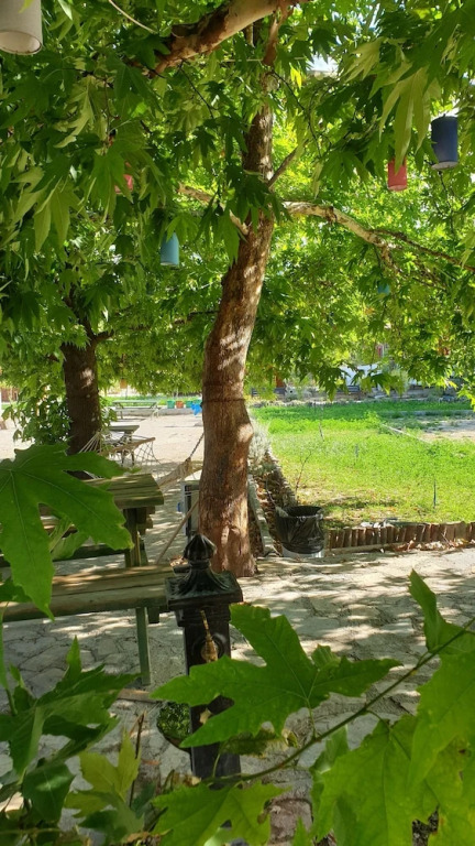 Эрменек: Zeyve Lavanta Tatil Köyü