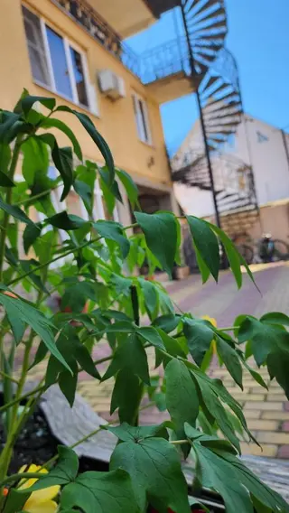 Сириус: Гостевой Дом Мзымта House