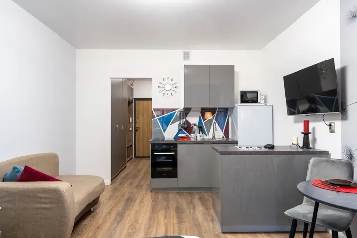 Санкт-Петербург: Апартаменты Roomyroom Пионерская