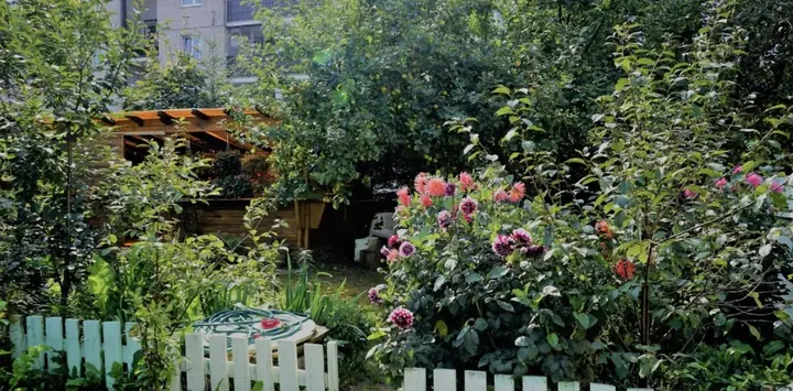 Светлогорск: Апартаменты Fritz Grosse