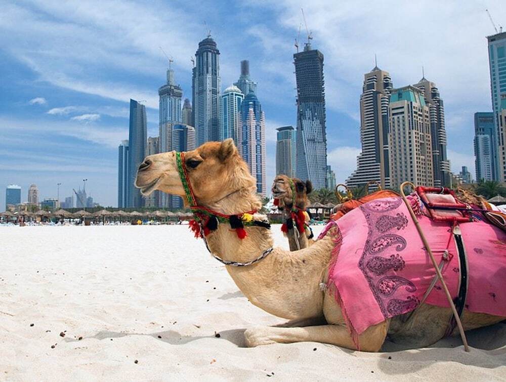 Дубай: Luxury One Bed Apartment in Heart of Dubai