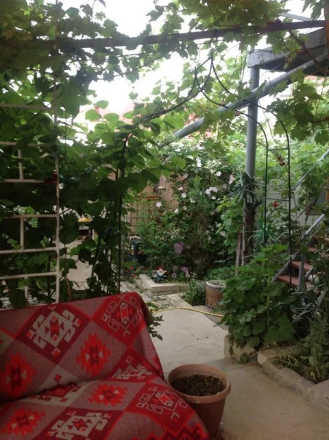 Курортное: Demid Guest House