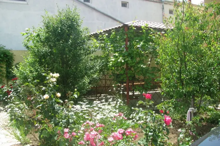 Евпатория: Guest house zhemchuzhina