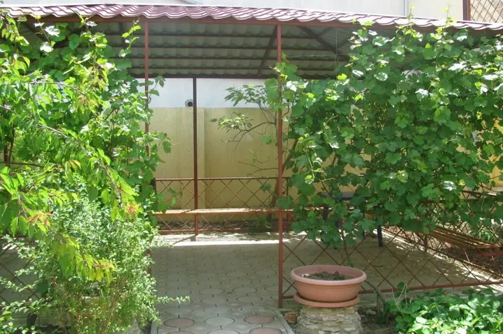 Евпатория: Guest house zhemchuzhina