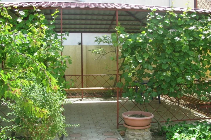 Евпатория: Guest house zhemchuzhina