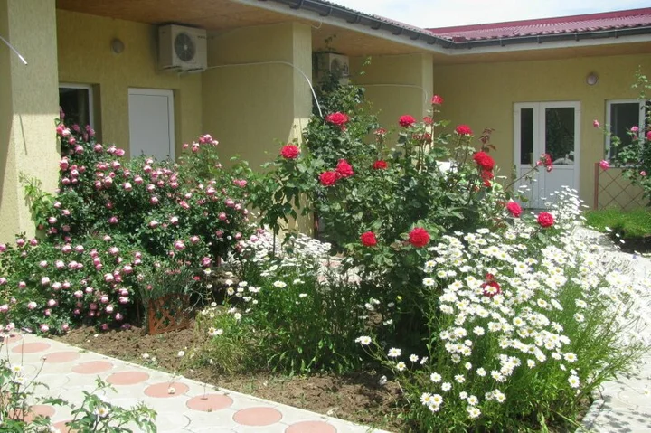 Евпатория: Guest house zhemchuzhina