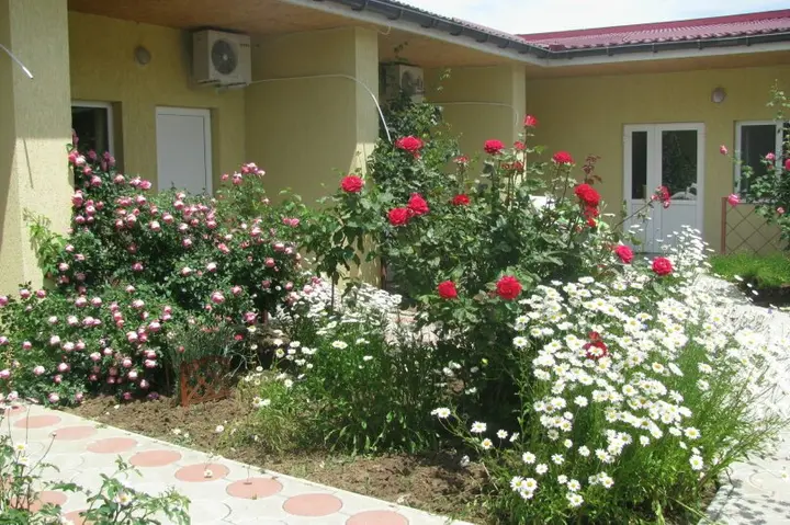 Евпатория: Guest house zhemchuzhina