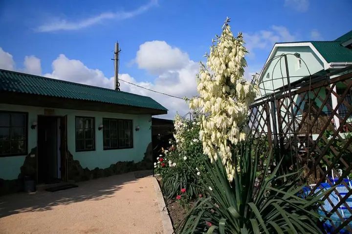 Севастополь: Grifon Guest House