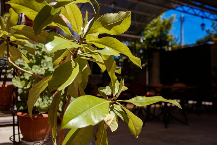 Судак: Вилла Райский Уголок