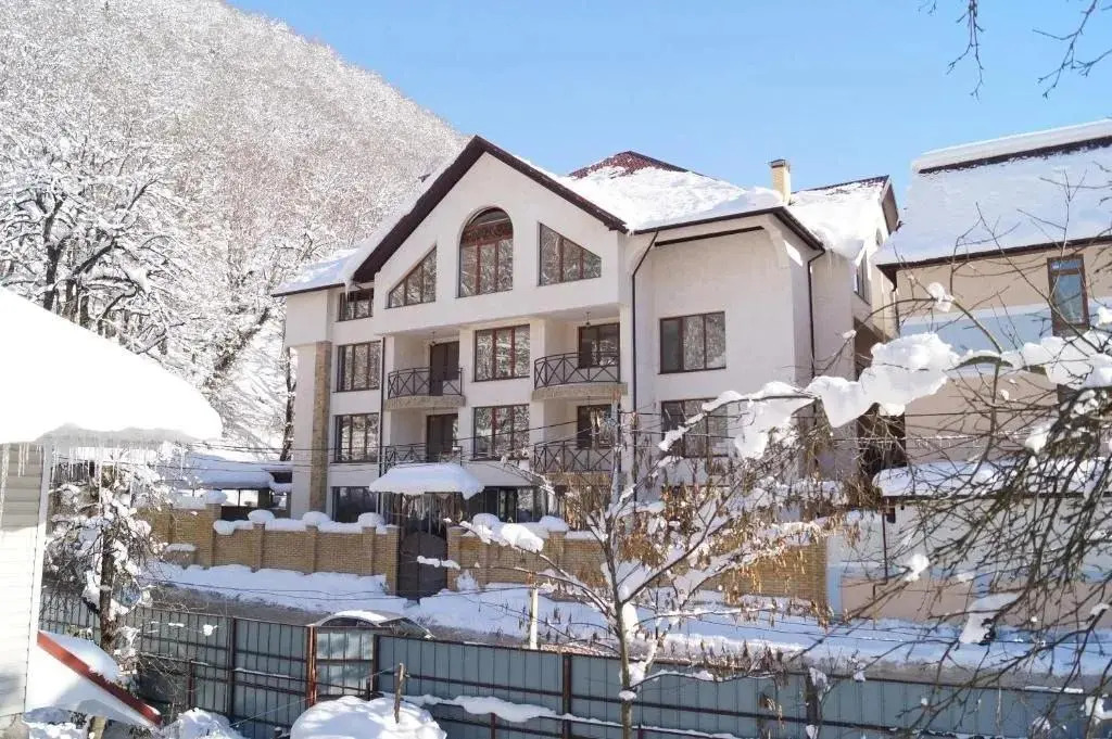 Красная Поляна: Green Hall Hotel