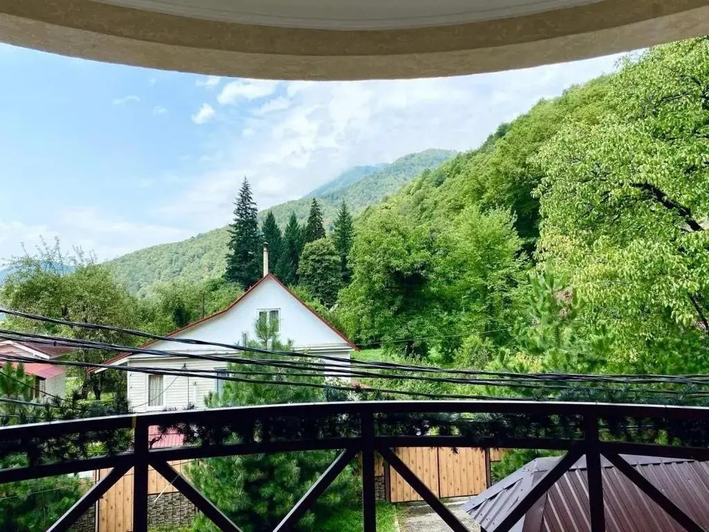 Красная Поляна: Green Hall Hotel