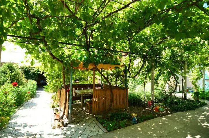 Гостевой дом Ласточка — фото 3