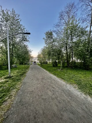 Петрозаводск: Квартира Dom