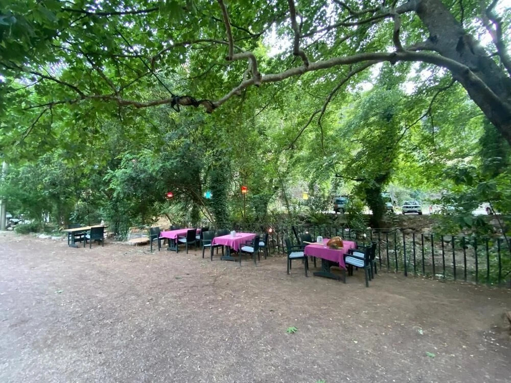 Кумлуджа: Yörükpark Otel Restoran