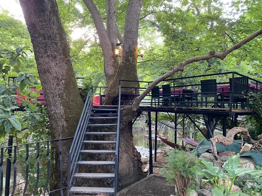 Кумлуджа: Yörükpark Otel Restoran