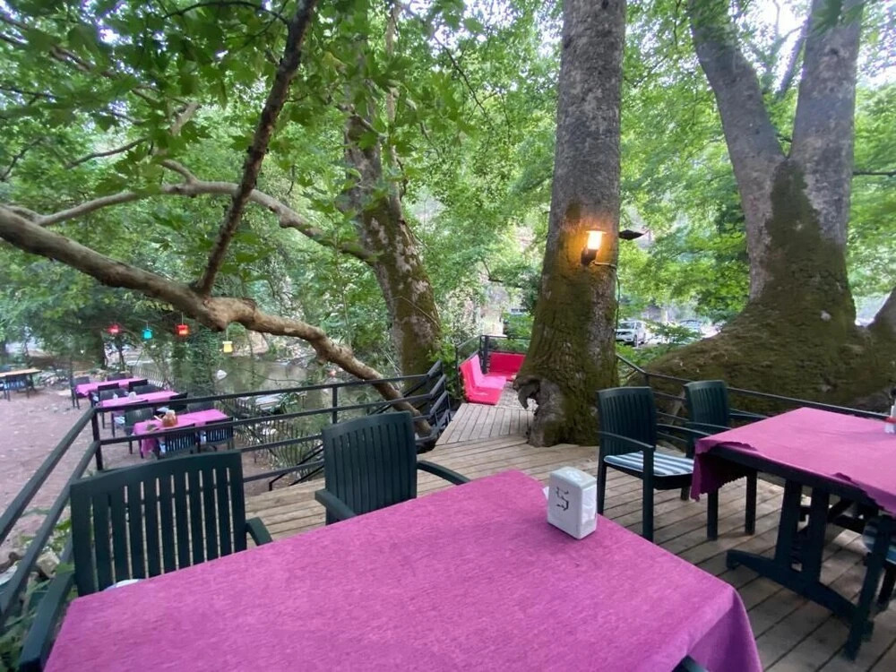 Кумлуджа: Yörükpark Otel Restoran
