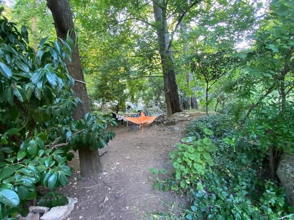 Кумлуджа: Yörükpark Otel Restoran