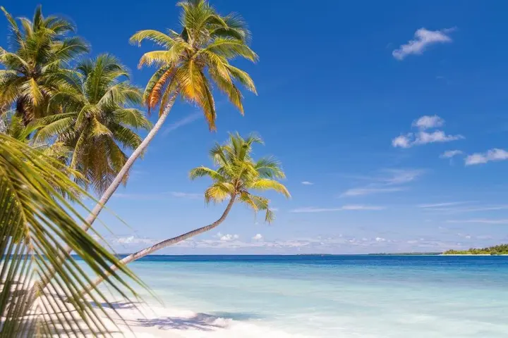 Атолл Баа: Dhonfulhafi Beach View & Spa
