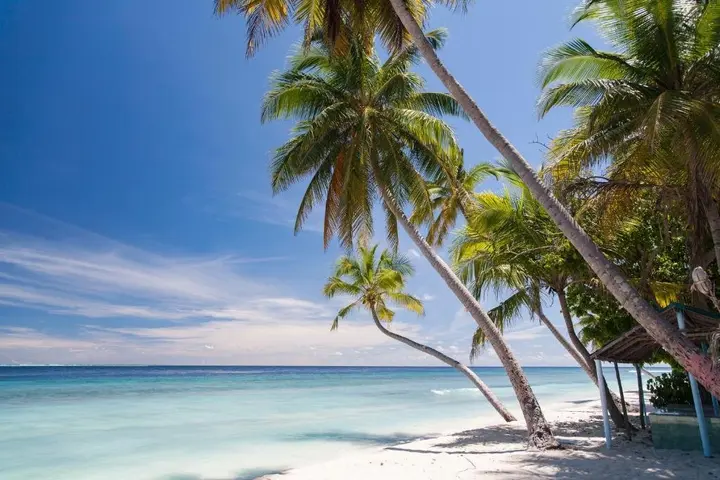 Атолл Баа: Dhonfulhafi Beach View & Spa